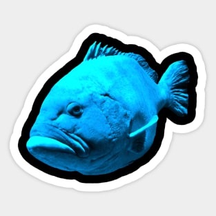 cool fish in the blue color of the sea Sticker